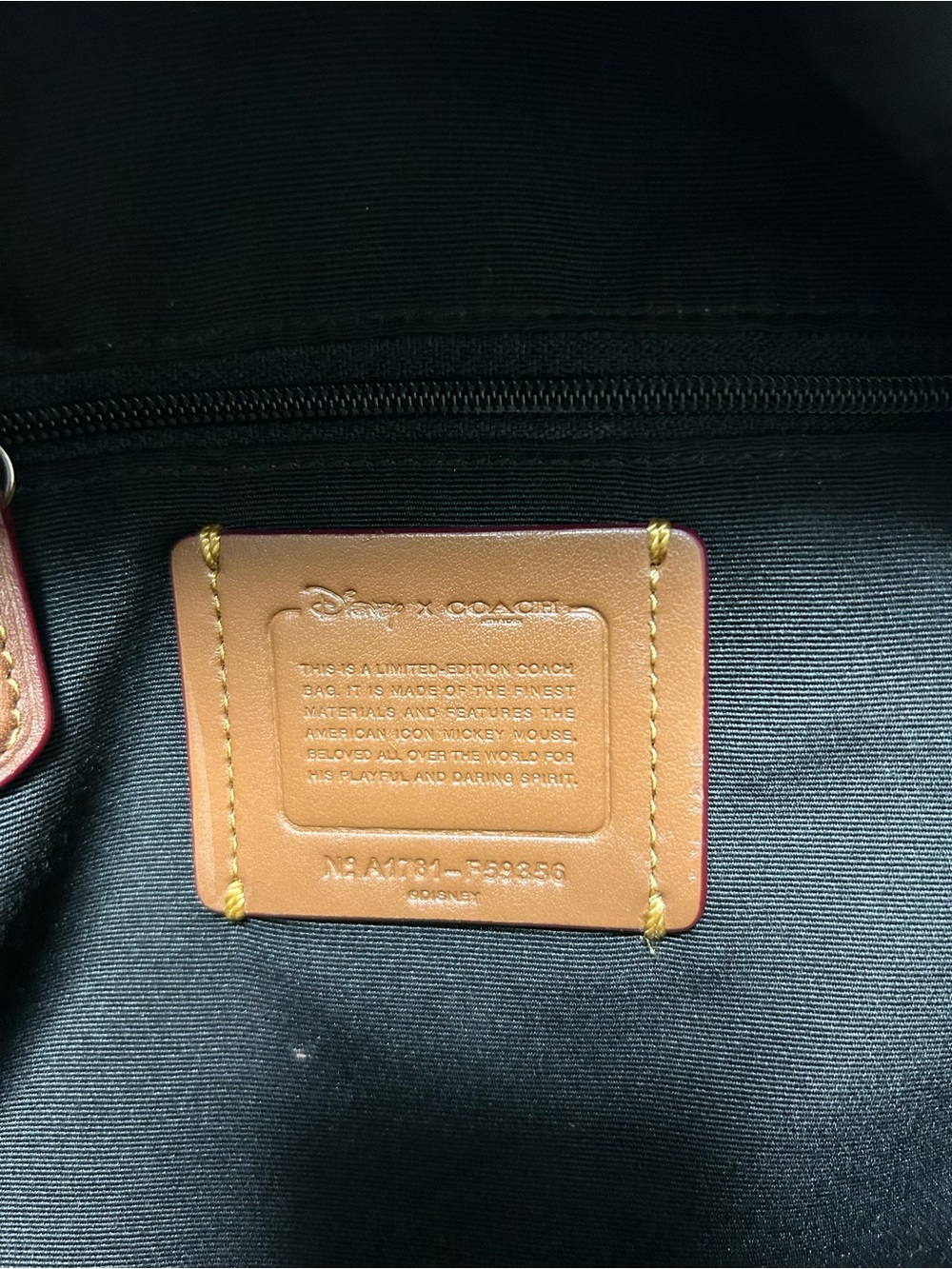 Rare Coach x Disney Mickey Mouse Brown Leather Backpack Mini Charlie Style - Picture 12 of 12